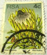 South Africa 1977 Protea Langifolia 4c - Used - Gebraucht