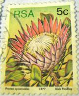 South Africa 1977 Protea Cynaroides 5c - Used - Oblitérés