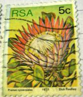 South Africa 1977 Protea Cynaroides 5c - Used - Oblitérés