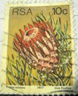 South Africa 1977 Protea Aristata 10c - Used - Used Stamps