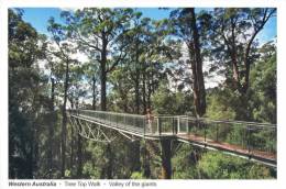 Tree Top Walk, Valley Of The Giants, Walpole-Nornalup National Park, Western Australia - Gottschalk Unused - Otros & Sin Clasificación