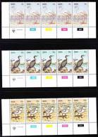 South West Africa - 1979 - Water Birds - Complete Set Of Control Blocks - Palmípedos Marinos