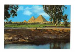 Egypte: Les Pyramides De Gizeh, The Giza Pyramids (13-1249) - Guiza