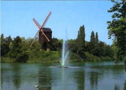 DIEST (Vlaams-Brabant) - Molen/moulin - De Lindenmolen Bij Domein De Halve Maan (prentkaart Ca. 1985) - Diest