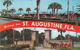 Florida Saint Augustine Greetings From Saint Augustine - St Augustine