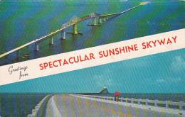 Florida Miami Greetings From Specular Sunshine Skyway - Miami