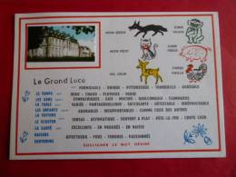 72 LE GRAND LUCE   Texte à Souligner  Chateau    NON Circulee Edit FL  Fantaisie Sarthe Systeme Photo Collee - Le Grand Luce