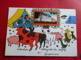 72 LE GRAND LUCE  Vache  Camping  . Chateau   NON Circulee Edit FL Fantaisie Sarthe Systeme Photo Collee - Le Grand Luce