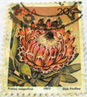 South Africa 1977 Protea Magnifica 20c - Used - Oblitérés