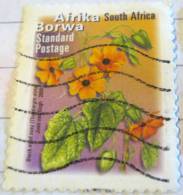 South Africa 2000 Black Eyed Susy Standard - Used - Usati