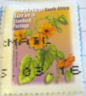 South Africa 2000 Black Eyed Susy Standard - Used - Gebraucht