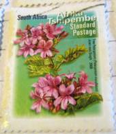 South Africa 2000 Tree Pelargonium Standard - Used - Oblitérés