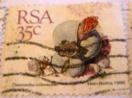 South Africa 1988 Cactus Dinteranthus Wilmotianus 35c - Used - Used Stamps