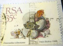 South Africa 1988 Cactus Dinteranthus Wilmotianus 35c - Used - Used Stamps