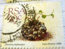 South Africa 1988 Cactus Dioscorea Elephantipes 90c - Used - Used Stamps