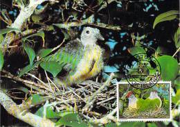 COOK ISLAND  WWF CARTE MAXIMUM NUM.YVERT  PA 996  PROTECTION DE LA NATURE   OISEAU - Maximum Cards