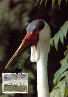 MALAWI  WWF CARTE MAXIMUM NUM.YVERT  490   PROTECTION DE LA NATURE  OISEAU GRUE - Maximumkarten