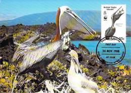 ILES  VIERGES   WWF CARTE MAXIMUM NUM.YVERT  617  PROTECTION DE LA NATURE FAUNE  OISEAU PELICAN S - Maximumkarten