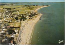 CPSM DAMGAN (Morbihan) - La Grande Plage Et La Pointe De Kervoyal - Damgan