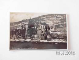 "Gannet Ledges". Bonaventure Island,Percé. - Percé