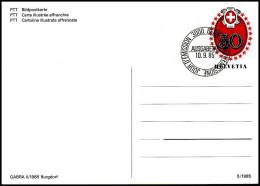 Switzerland 1985, Postal Stationery - Storia Postale