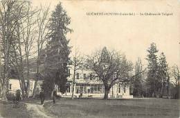 Depts Divers -loire Atlantique- Ref 180- Guemene Penfao - Le Chateau De Treguet  - - Guémené-Penfao