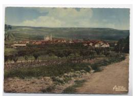 89 COULANGES LA VINEUSE--VUE GENERALE PRISE AU TELEOBJECTIF - RECTO/ VERSO  ---100.40 - Coulanges La Vineuse