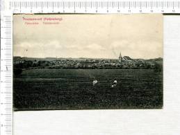 FAULQUEMONT  - FALKENBERG - Panorama -  Totalansicht - Faulquemont