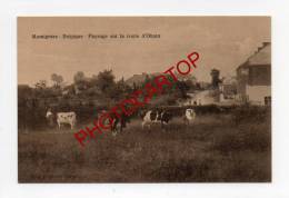 Paysage Sur La Route D'OHAIN-VACHES-MOMIGMIES-BELGIQUE-BELGIEN- - Momignies