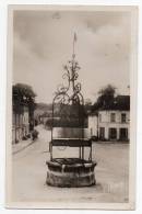 Cpa Photo 77 - Donnemarie En Montois - Le Vieux Puits Et La Place Du Marché - Donnemarie Dontilly