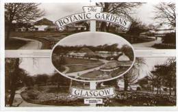 Real Photo Multi View  POSTCARD IN BOTANIC GARDENS - GLASGOW - - Dunbartonshire