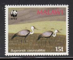 Malawi MNH Scott #495 15t Cranes In Field (Bugeranus Carunculatus) - World Wildlife Fund - Malawi (1964-...)