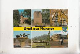 BT11149 Munster    2 Scans - Muenster