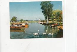 BT11202 Steinhude Am Meer Promenade Swan Cygne   2 Scans - Steinhude