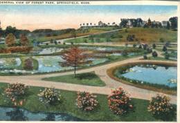 (555) Very Old Postcard - Carte Ancienne - USA - Springfield Park - Springfield