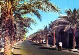 GHARDAIA Avenue Du 1° Novembre 1954 - Ghardaia