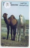 GPT (32) Magnetic/Baby Camels KD3 - Koeweit