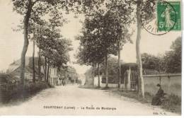 CPA COURTENAY (Loiret) - La Route De Montargis - Courtenay