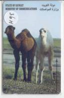 GPT 36 H CAMELS - Kuwait