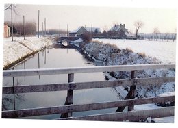 CPM    59       GRANDE SYNTHE     PUYTHOUCK OU COIN AUX GRENOUILLES        PONT SOUS LA NEIGE - Grande Synthe