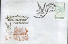 Romania-Enevelope Occasionally 1993-The Common Tern - Meeuwen