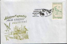 Romania-Enevelope Occasionally 1993- Vanellus Vanellus - Storchenvögel
