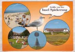 Insel Spiekeroog , Mehrbildkarte - Wittmund