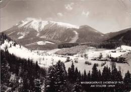 Österreich, Wintersportplatz Lackenhof 1963, Am Otscher, Gelaufen Ja 1963 - Lunz Am See