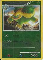 - E - CARTE POKEMON GROTLE LV 26 BRILLANTE 49/127 BON ETAT (Carte étrangère) - Other & Unclassified