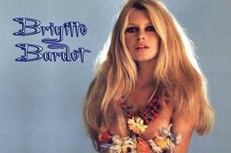 E-10zc/Bb 57^^   Actress  Brigitte Bardot , ( Postal Stationery , Articles Postaux ) - Schauspieler