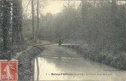 ILE DE FRANCE - 95 - VAL D'OISE - BOISSY L'AILLERIRE - La Viosne Sous Les Larris - Boissy-l'Aillerie