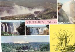 (333) Zimbabwe - Zambia Border - Victoria Falls (with Rhodesia Stamp At Back) - Zimbabwe
