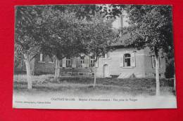 57 - CHATEAU-SALINS - HOPITAL D´ARRONDISSEMENT - Vue Prise Du Verger Animation - Pierron - Chateau Salins