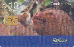 Télécarte à Puce PEROU - ANIMAL - PARESSEUX - PEREZOSO Chip Phonecard Peru Telefonkarte - Peru